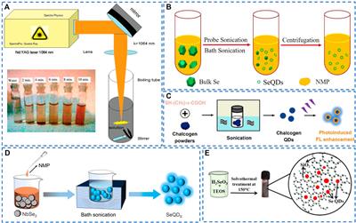 A mini review on selenium quantum dots: synthesis and biomedical applications